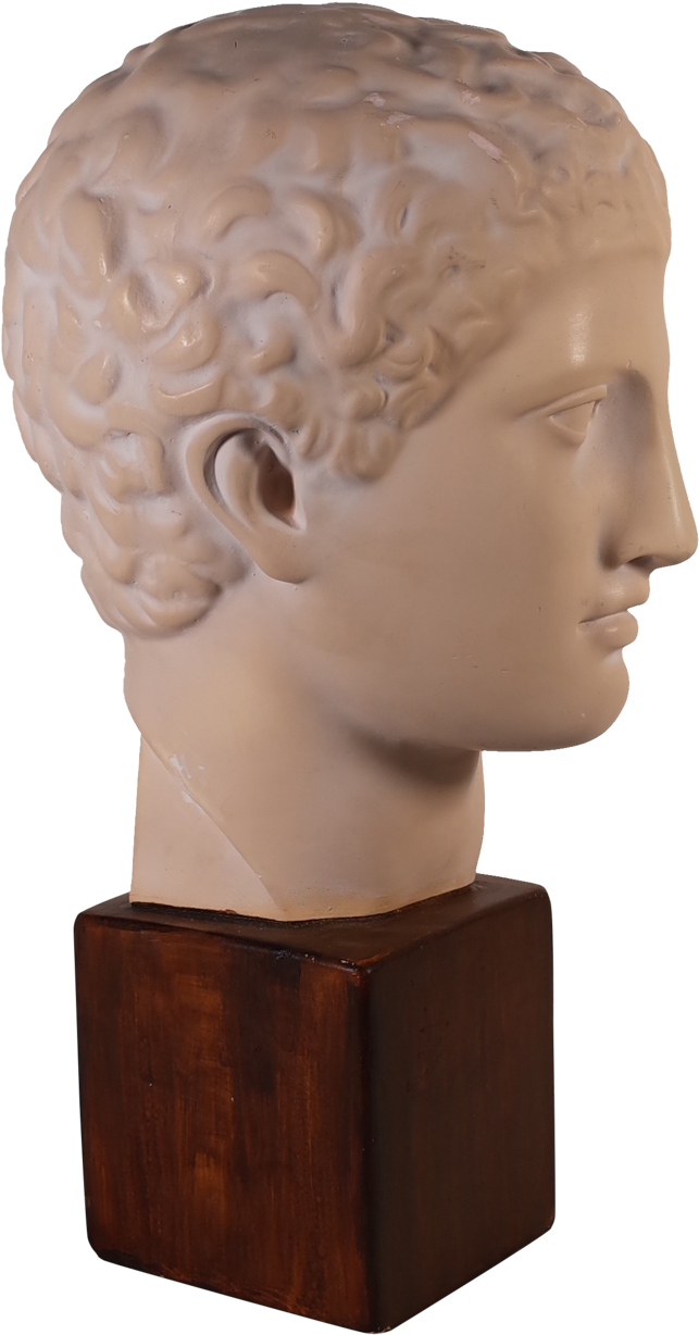 Plaster Bust Of Roman Male - Bust, HD Png Download PNG with transparent background