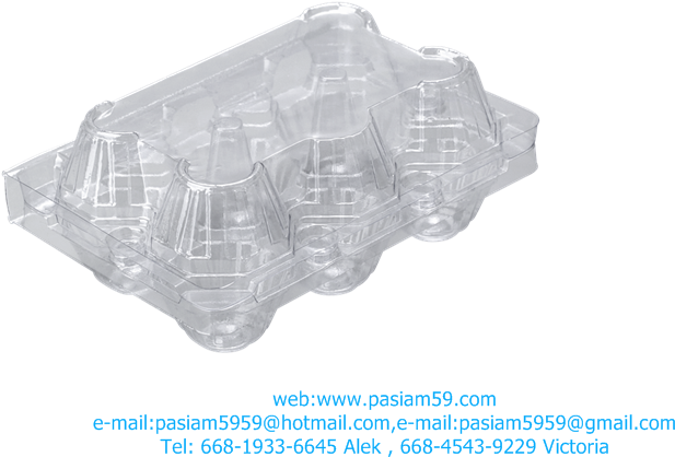 Clear Plastic Egg Carton