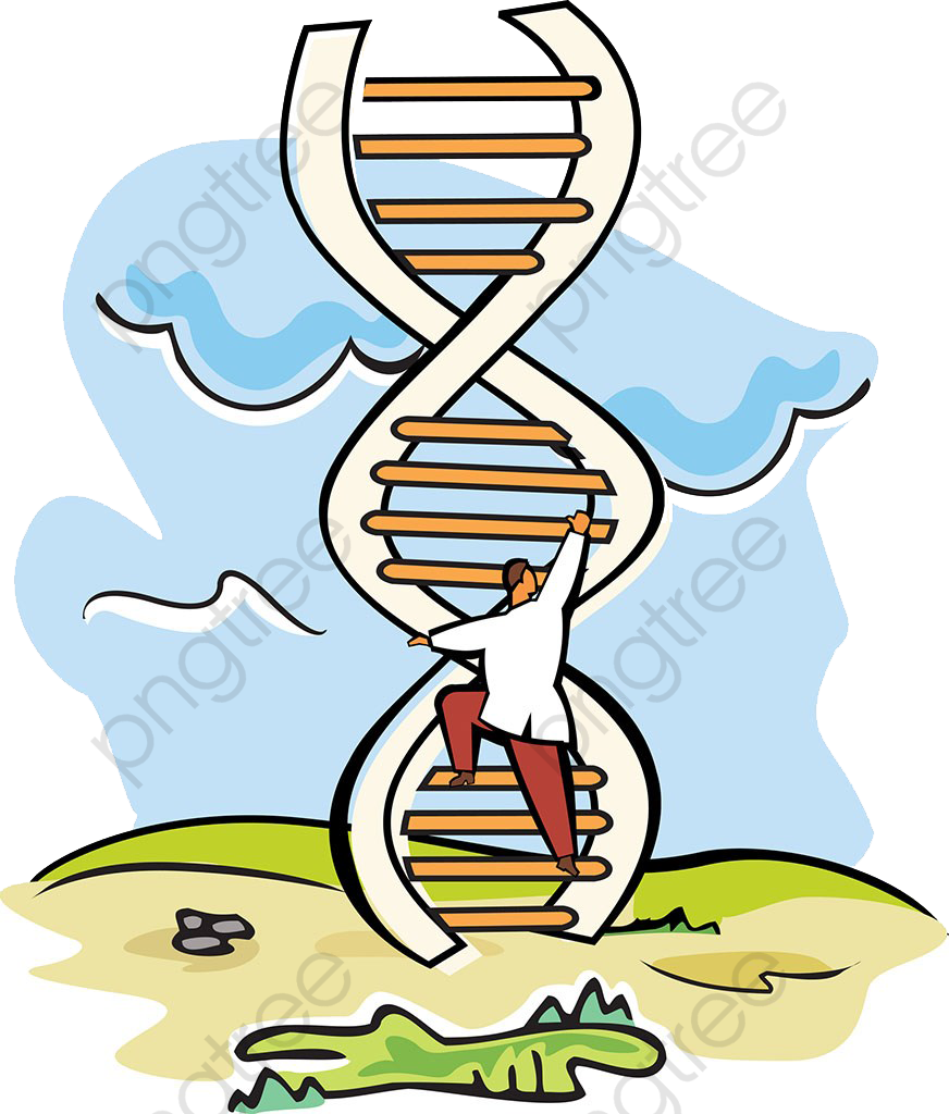 Climbing_ D N A_ Structure PNG with transparent background