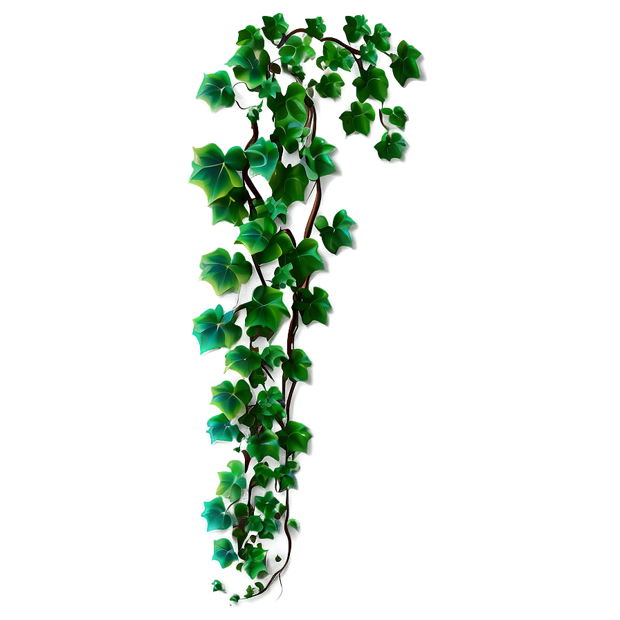 Climbing Ivy Vine PNG eqq19 PNG image with a transparent background, free high-resolution download