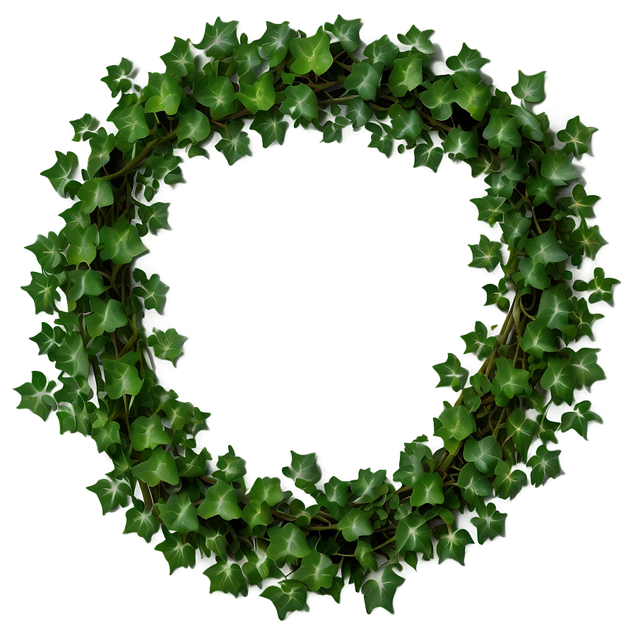 Climbing Ivy Vine Png Hpf