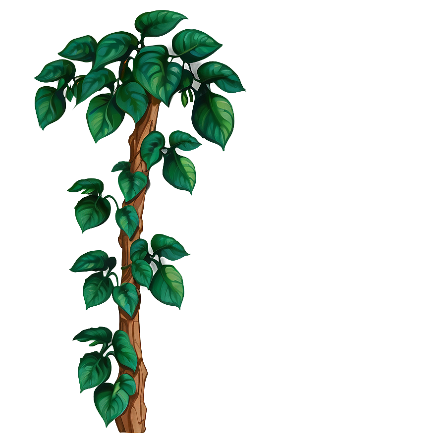 Climbing Plant Png 05032024