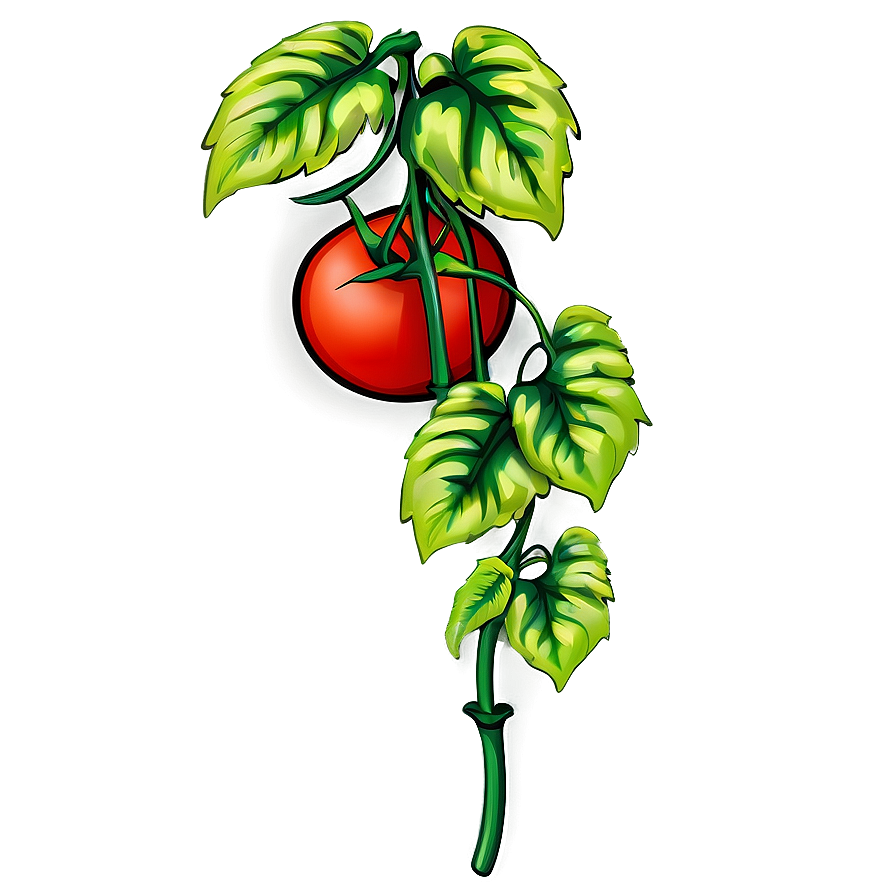 Climbing Tomato Plant Png Sal