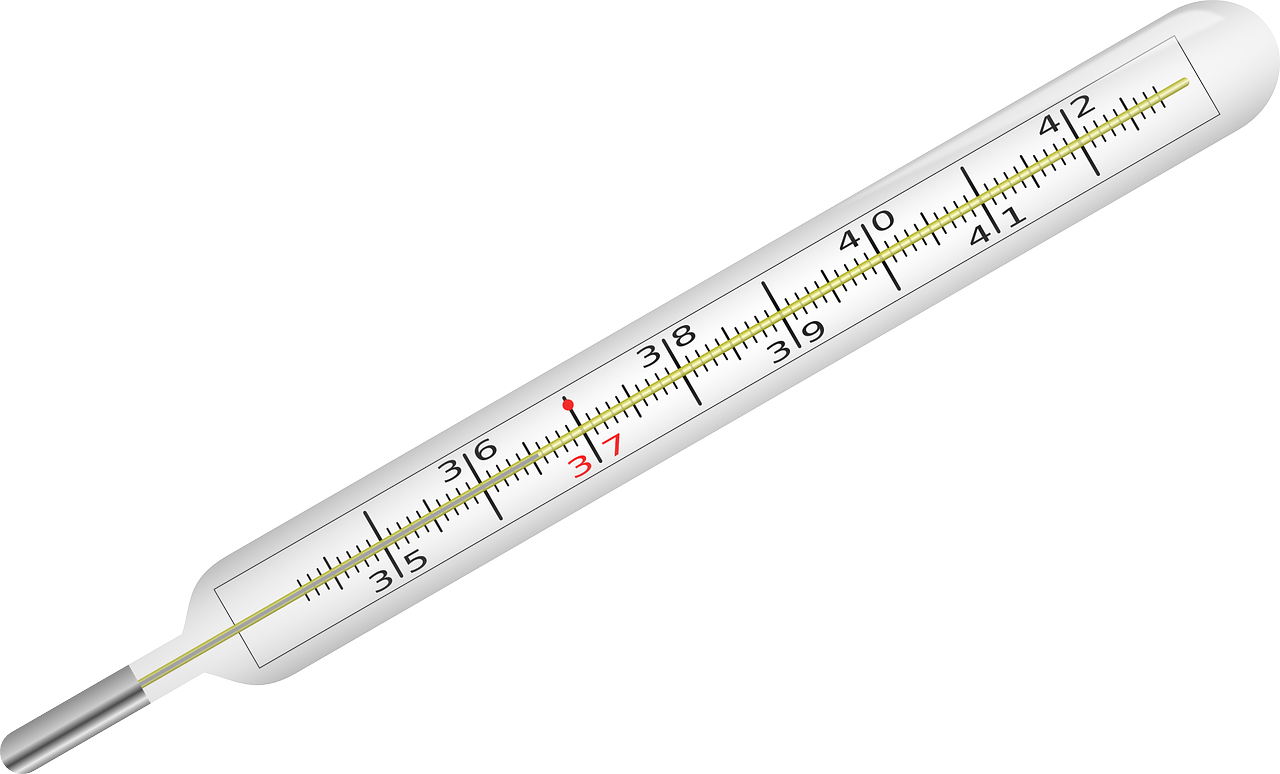 Clinical Thermometer, Fever, Thermometer, Clinic - Thermometer Diagram Without Background, HD Png Download PNG with transparent background