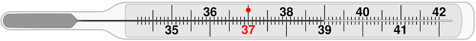 Thermometer, Medical, Clinical Thermometer, Temperature - Clinical Thermometer Images Black And White, HD Png Download PNG with transparent background
