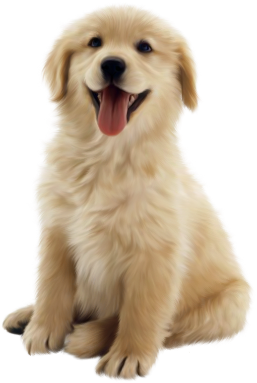 Clip Art Husky Golden Retriever Puppy, HD Png Download PNG with transparent background