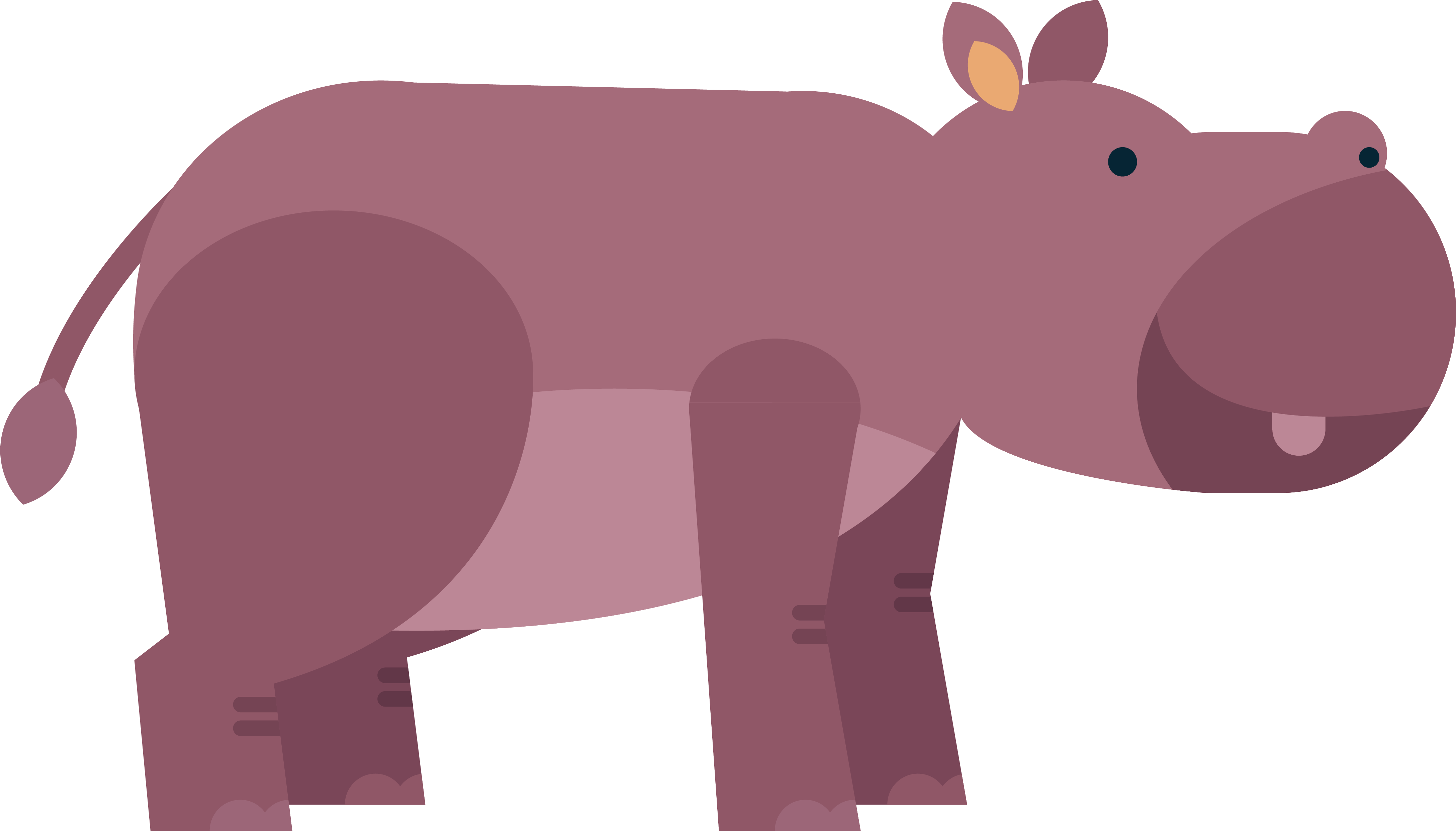 Clipart Hippo Mammal - Hippopotamus, HD Png Download PNG with transparent background