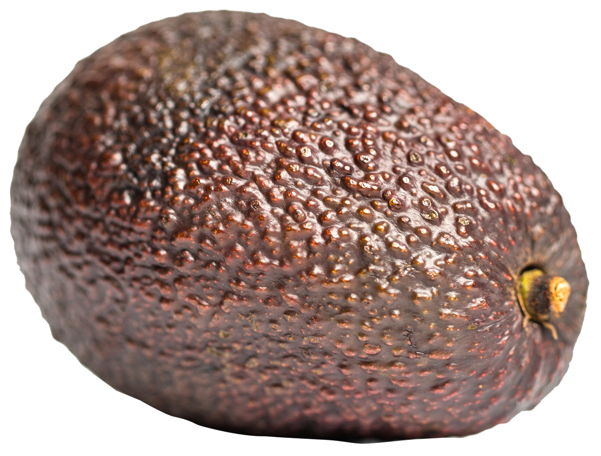 Close Up Avocado Skin Texture