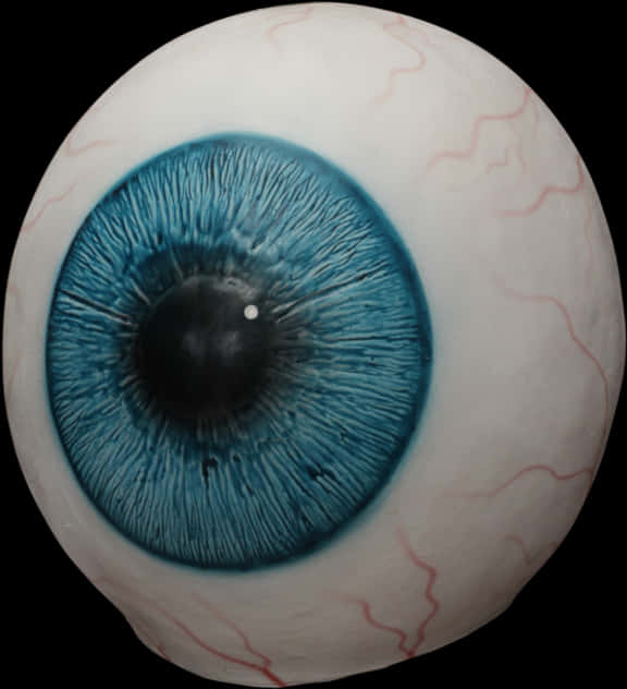 Close Up Blue Human Eyeball PNG with transparent background