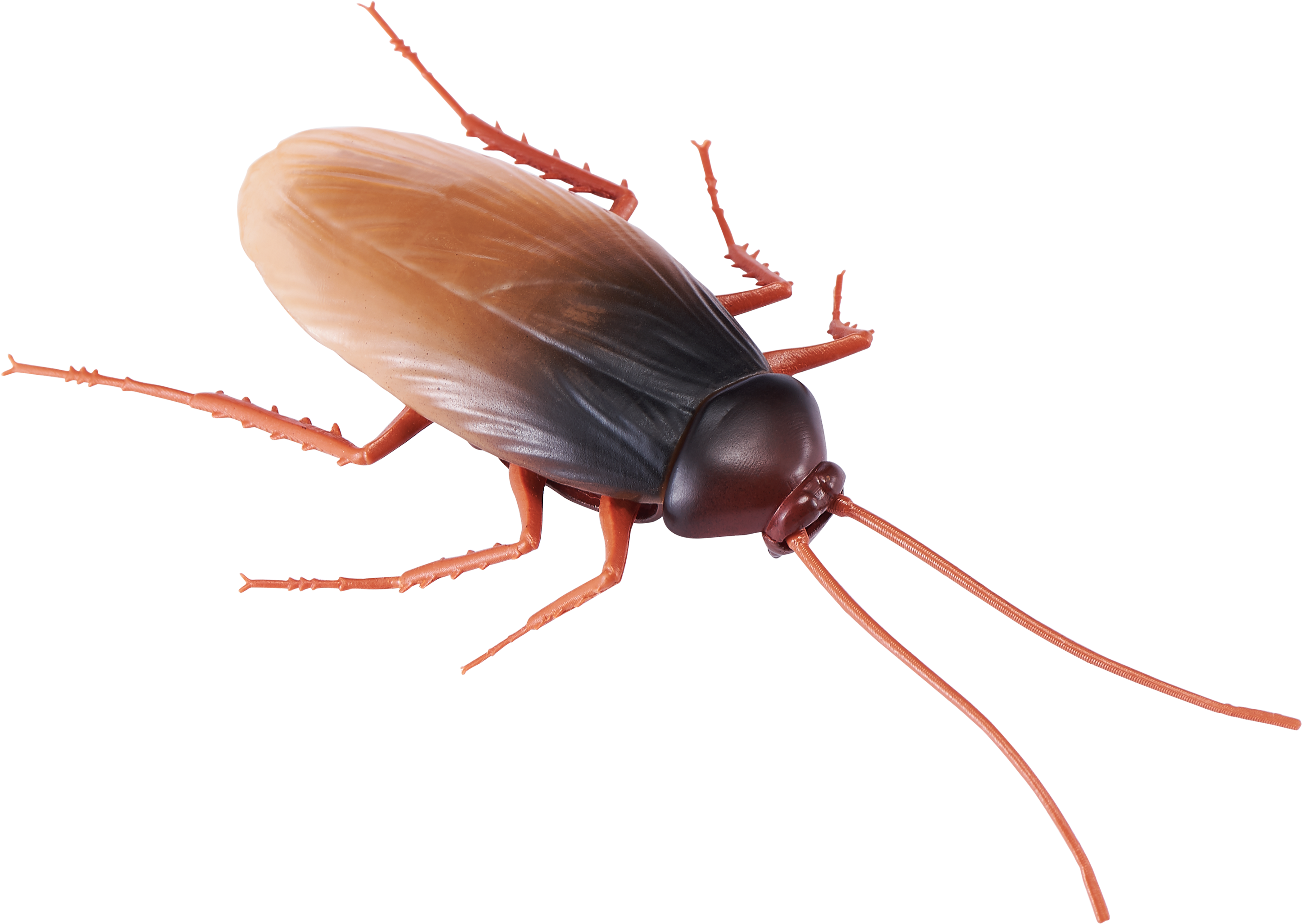 Barata Robô, HD Png Download PNG image with a transparent background, free high-resolution download