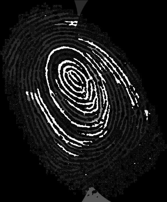 Close Up Fingerprint Texture