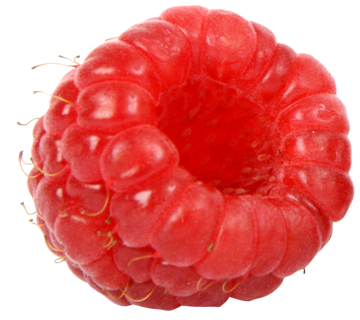 Close Up Red Raspberry PNG with transparent background