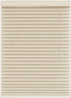 Closed White Window Blinds