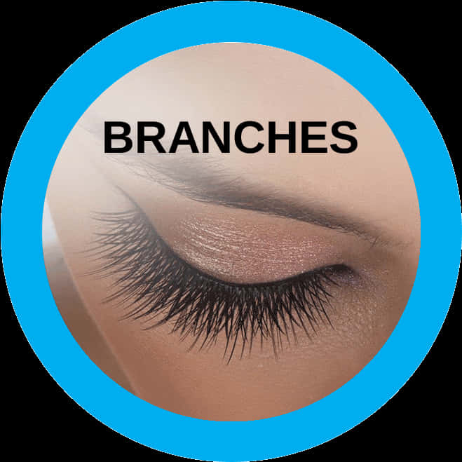 Planet Nails Individual Lashes, HD Png Download PNG with transparent background