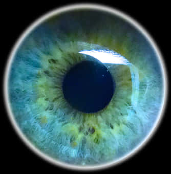 Closeup Human Eye Detail PNG with transparent background