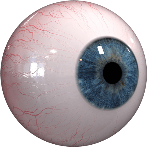 Closeup Human Eye Detail PNG with transparent background