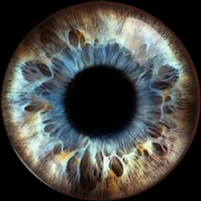 Closeup Human Eye Iris Texture.jpg PNG with transparent background