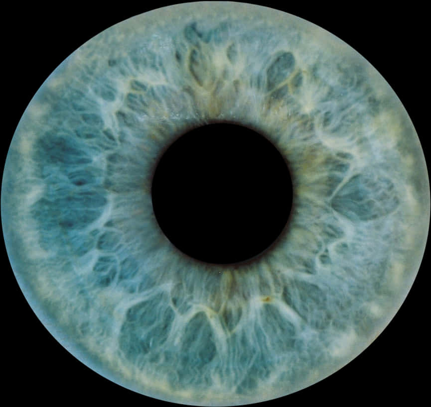 Closeup Human Iris Texture PNG with transparent background