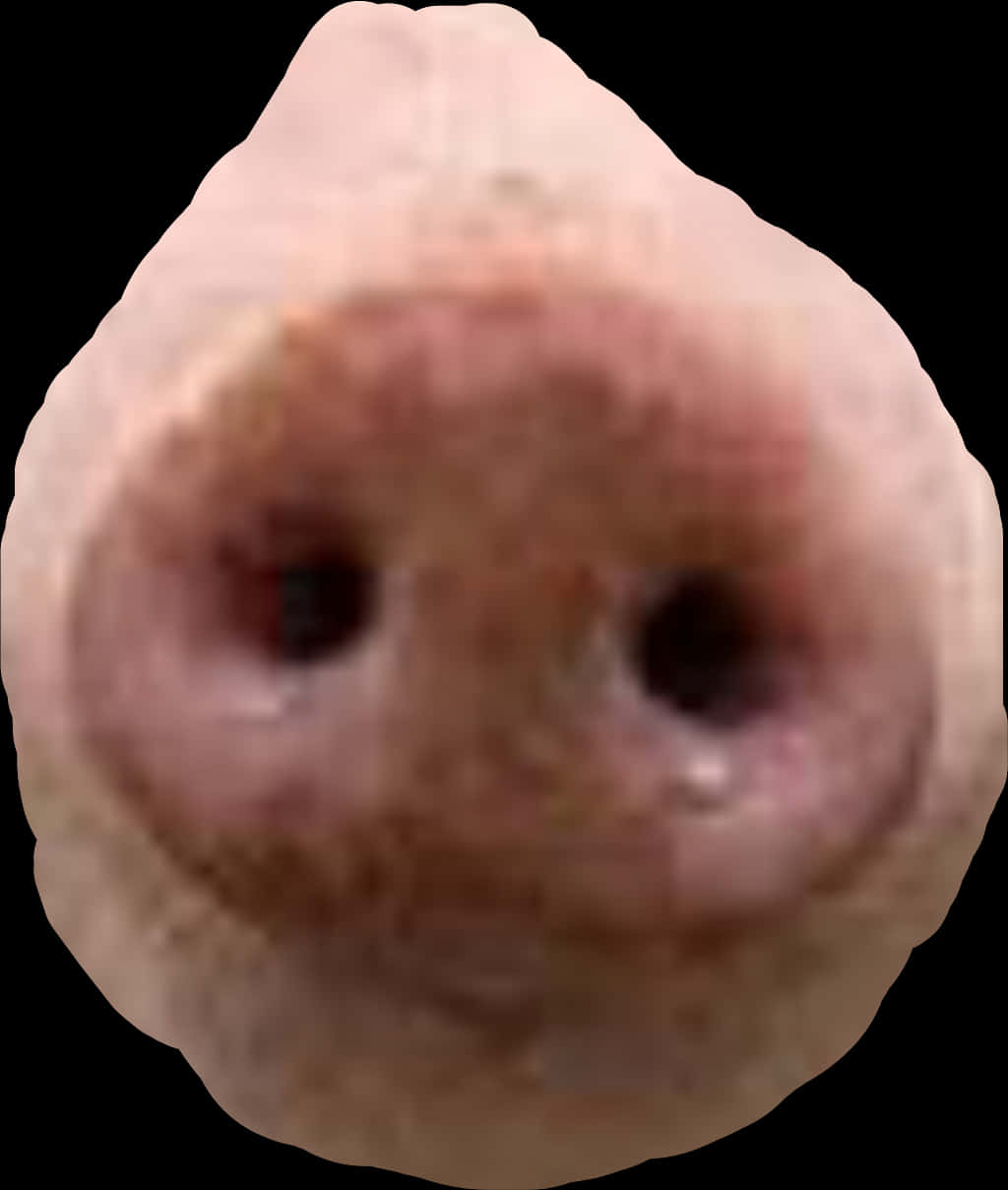 #pig #nose @robullo - Pig Nose Png, Transparent Png PNG with transparent background