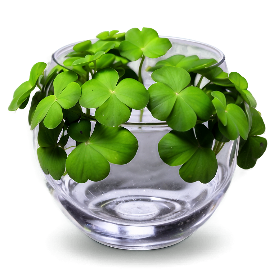 Clover In Glass Png Gmt