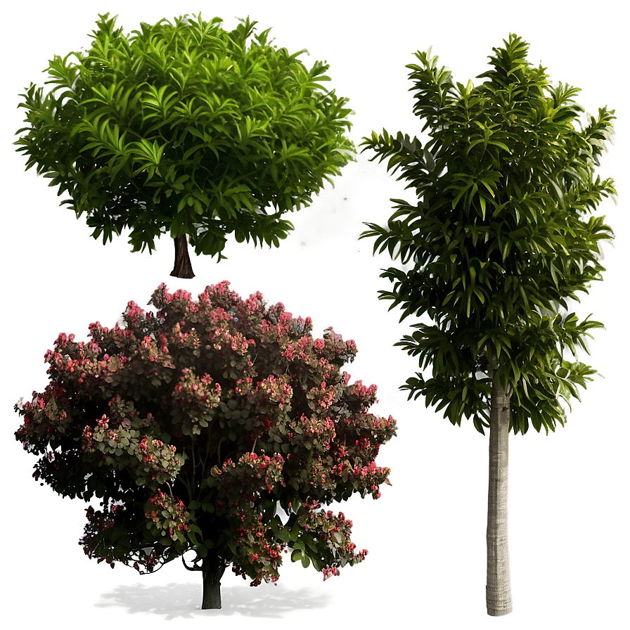 Coastal Defense Shrubs Png 39