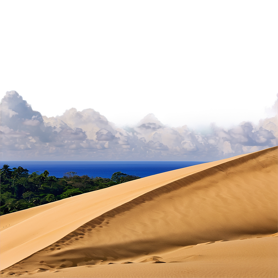 Coastal Sand Dunes Png 06292024