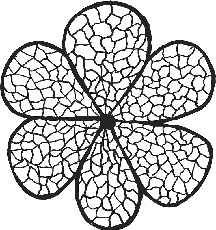 Cobblestone Flower Pattern Graphic