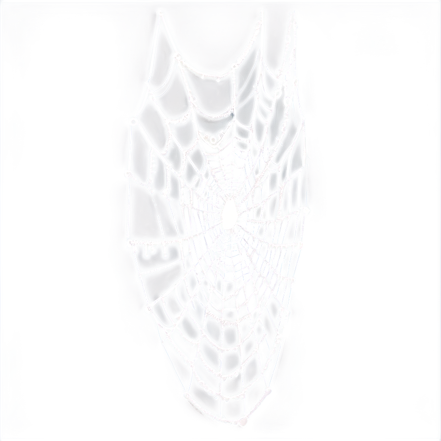 Cobweb Transparent Background Png Fuh60