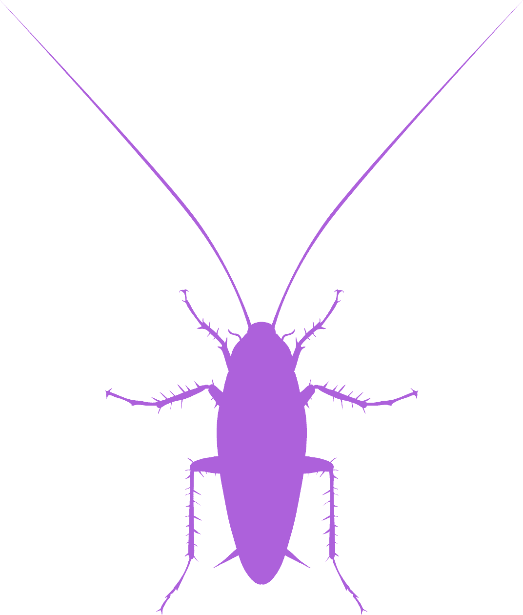 Cockroach Silhouette Graphic PNG image with a transparent background, free high-resolution download