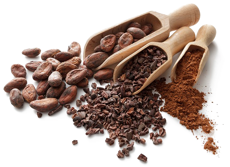 Cocoa Beans Png Hd - Cocoa Beans Png, Transparent Png PNG with transparent background