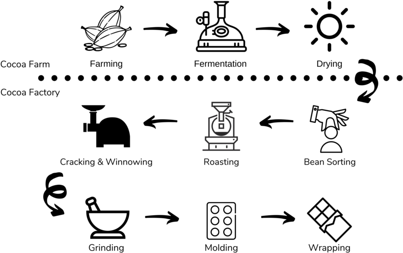Bean To Bar - Chocolate Bean To Bar Png, Transparent Png PNG with transparent background
