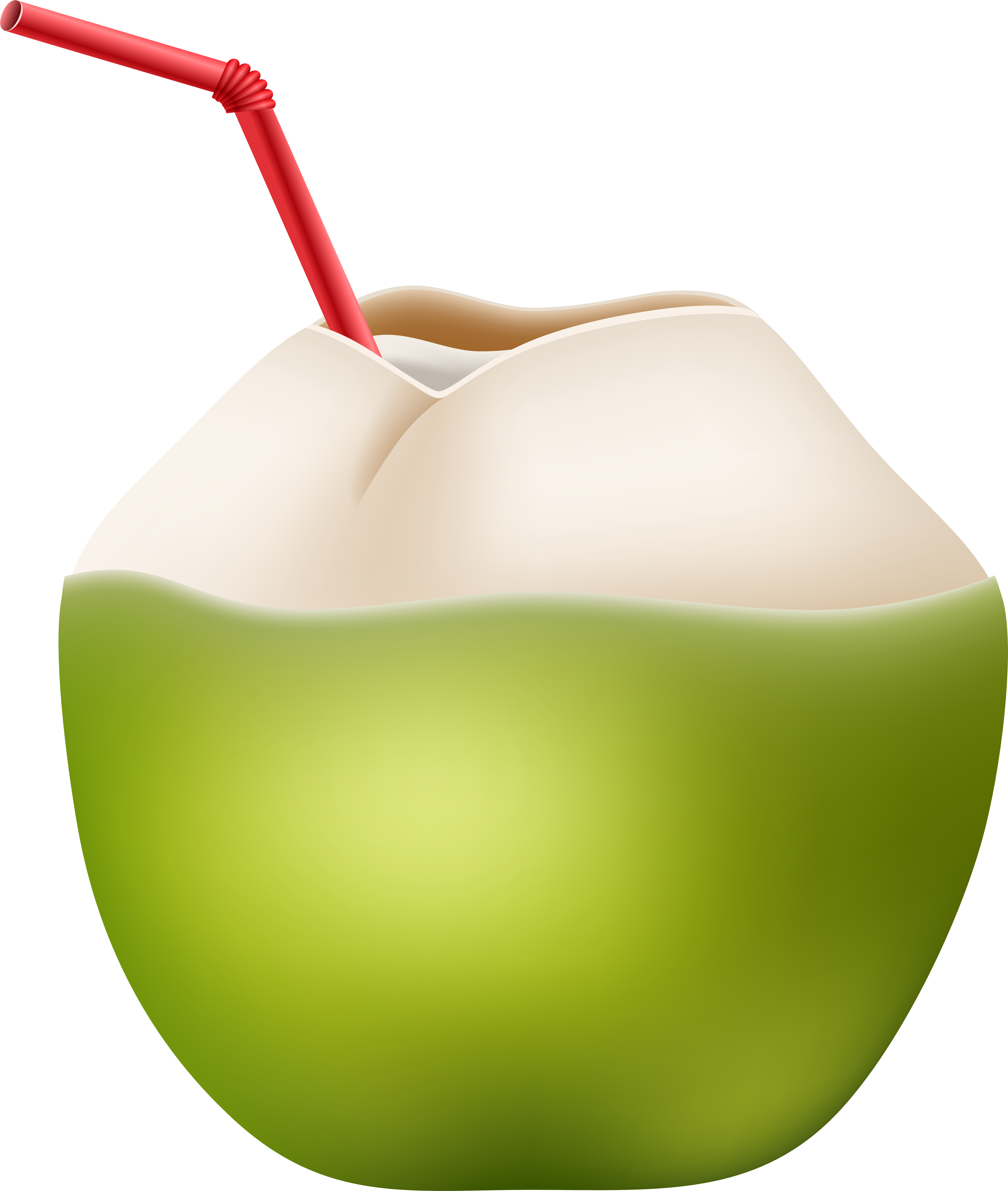 Picture Free Library Coconut Transparent Straw Png, Png Download PNG image with a transparent background, free high-resolution download