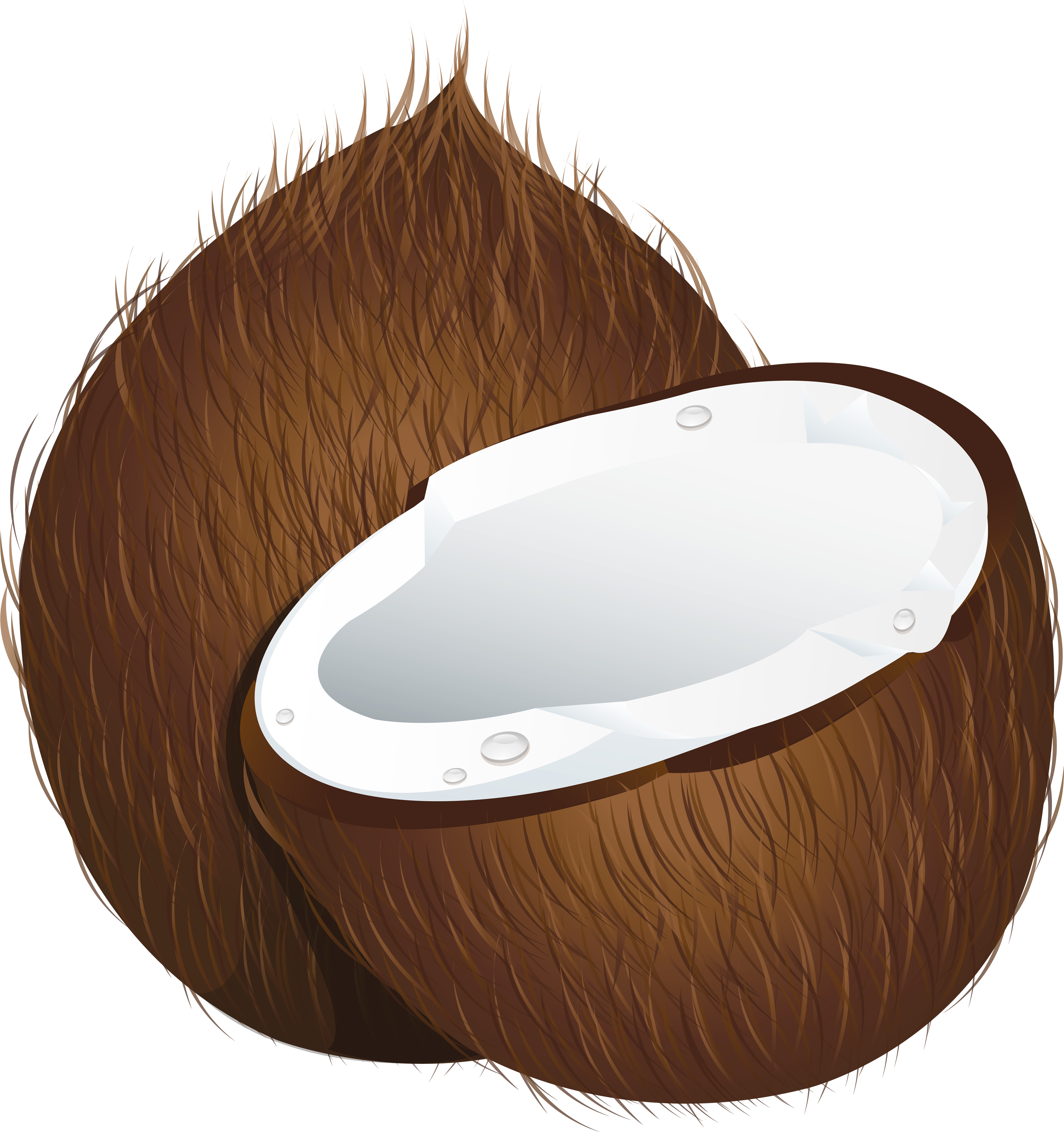 Coconut Png Image - Coconut Clipart Png, Transparent Png PNG with transparent background