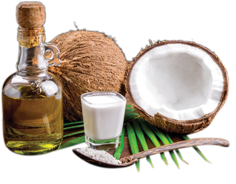 Coconut Products Display