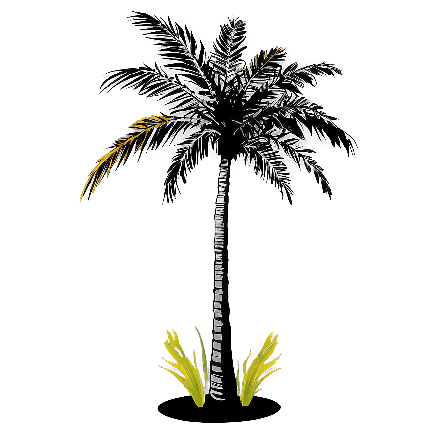 Coconut Tree Shadow PNG 06202024 PNG image with a transparent background, free high-resolution download