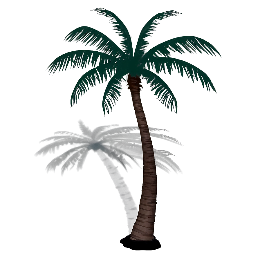 Coconut Tree Shadow PNG 50 PNG image with a transparent background, free high-resolution download
