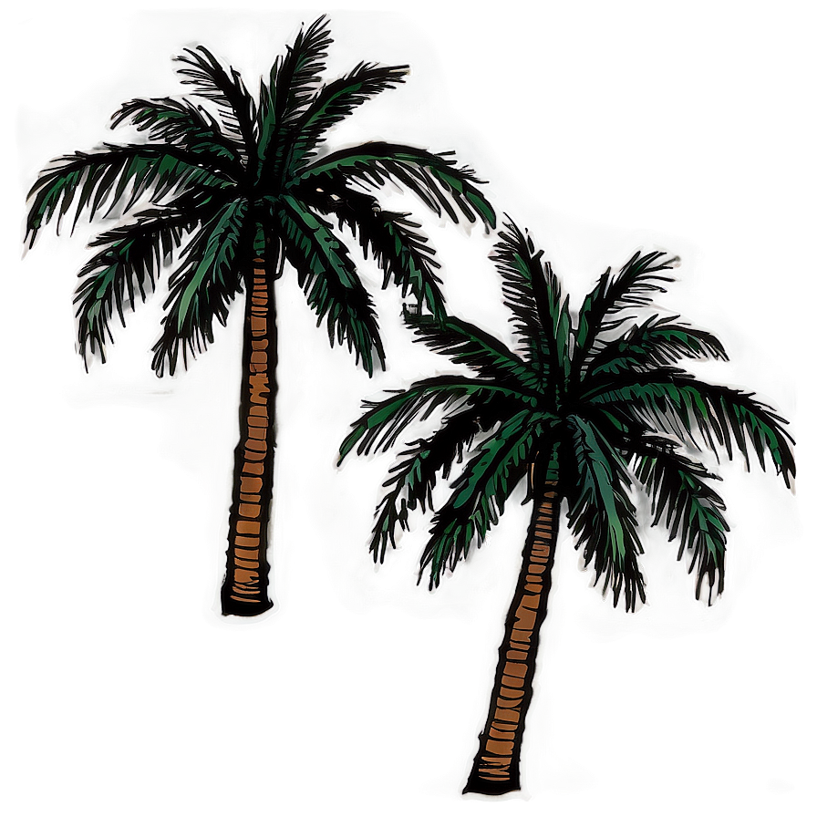 Coconut Tree Sketch Png 06202024