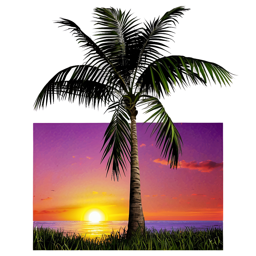 Coconut Tree With Sunset Background Png Nco