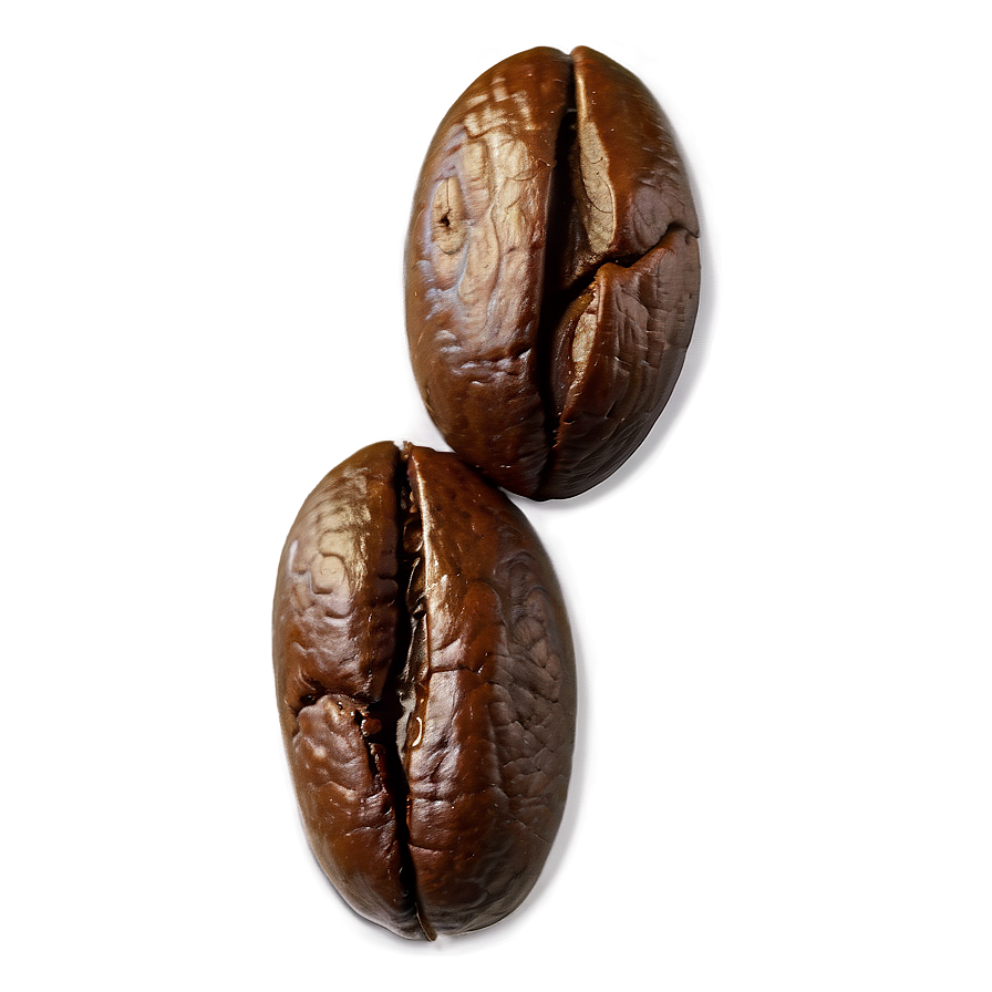 Coffee Bean Closeup Png Dgq