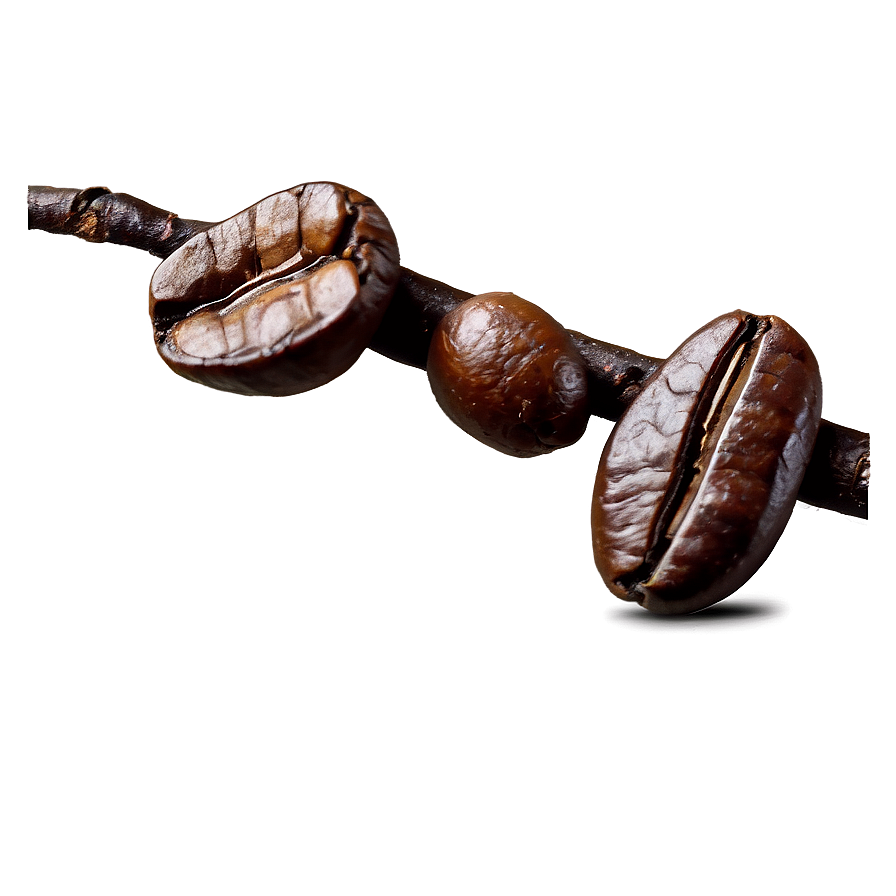 Coffee Beans Aroma Png Nmo4