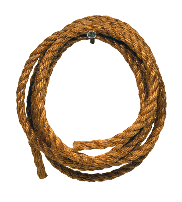 Coiled Lassoon Black Background PNG with transparent background