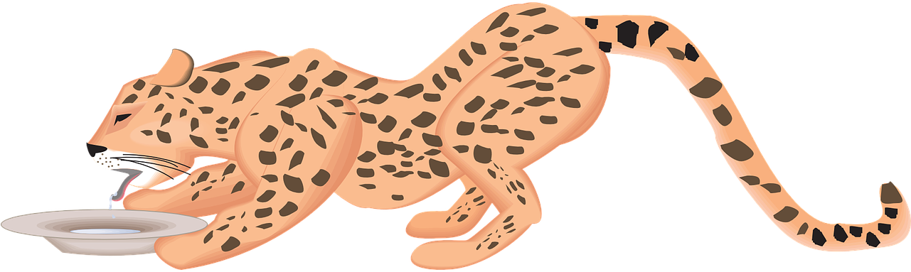 Cola De Cheetah Png, Transparent Png PNG with transparent background