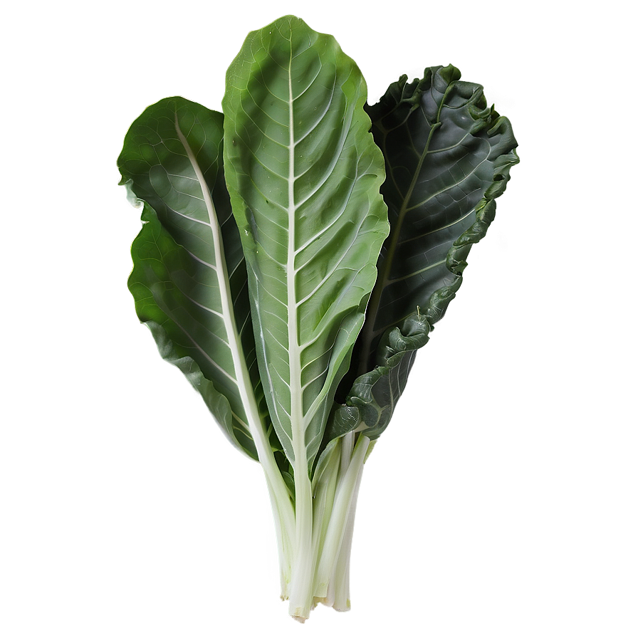 Collard Greens Drawing Png Gff