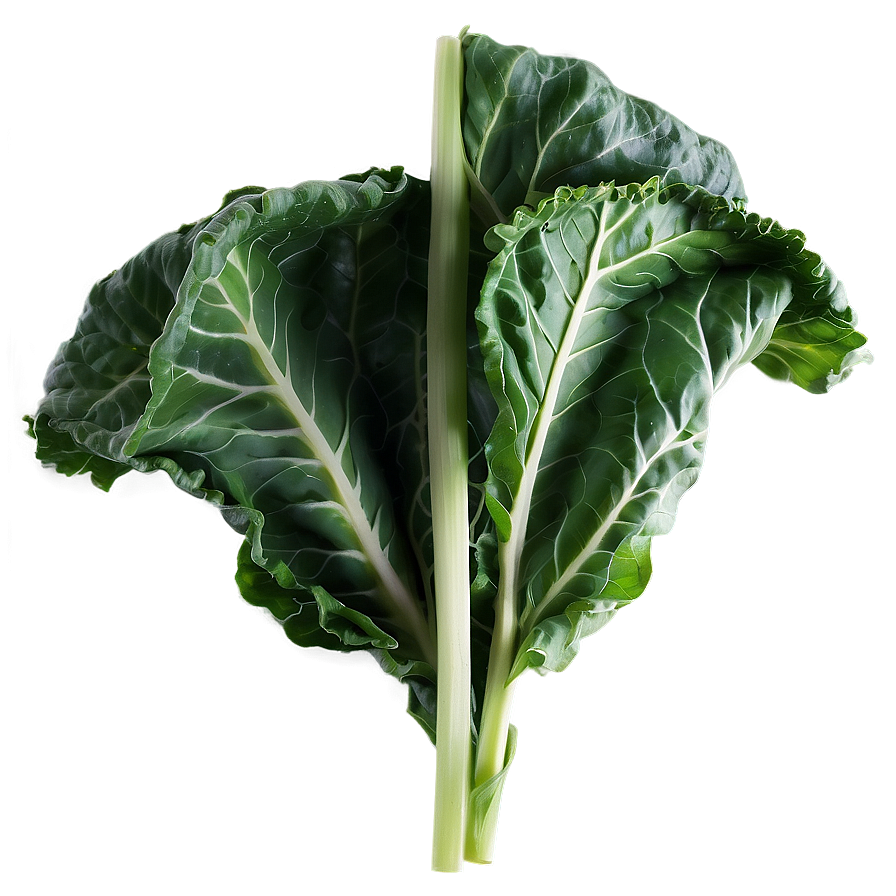 Collard Greens Drawing Png Pom