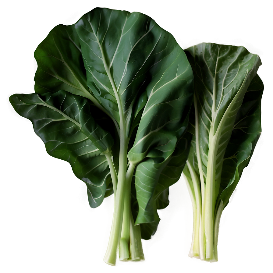 Collard Greens Illustration Png 06252024