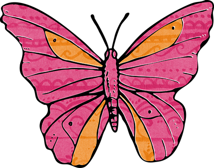 Colorful Abstract Butterfly Art PNG with transparent background