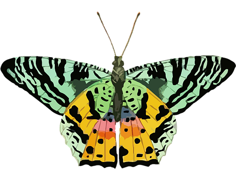 Colorful Abstract Butterfly