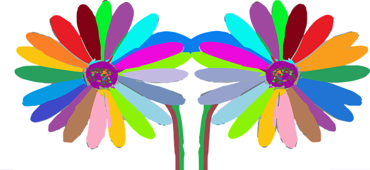 Colorful Abstract Daisies PNG with transparent background