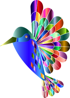 Colorful Abstract Hummingbird Art PNG with transparent background