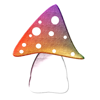 Colorful Abstract Mushroom Art PNG with transparent background